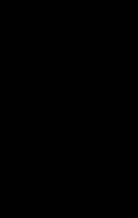 Solid Black, a Merlin Industries liner pattern