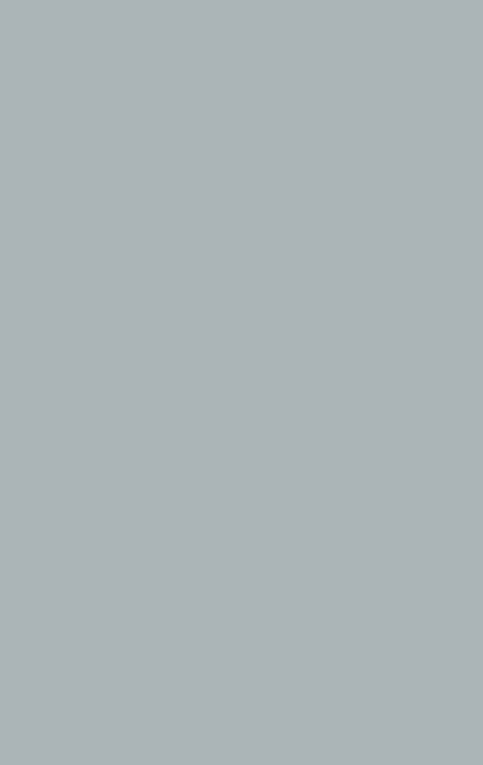 Solid Light Gray, a Merlin Industries liner pattern